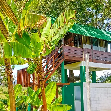 Pride Rock Villa & Tree House Sigiriya Exterior photo