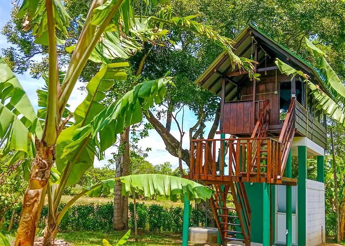 Pride Rock Villa & Tree House