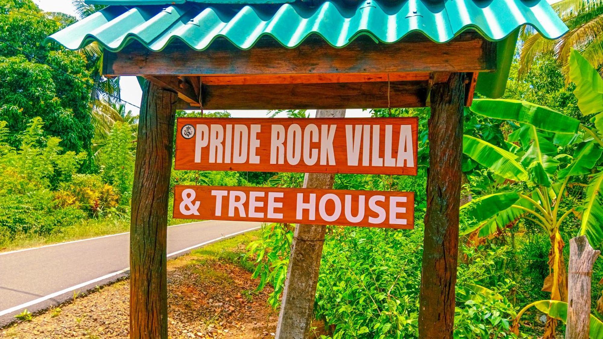 Pride Rock & Tree House 2*