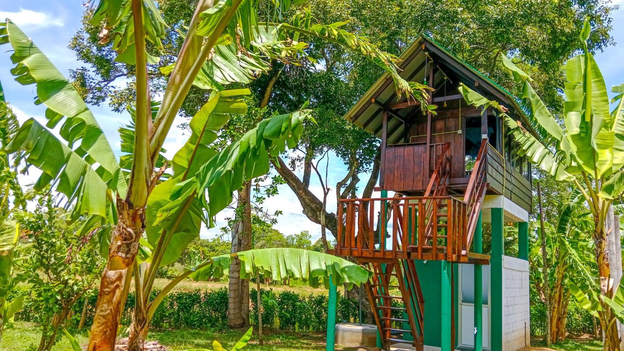 Hotel Pride Rock & Tree House Sigiriya