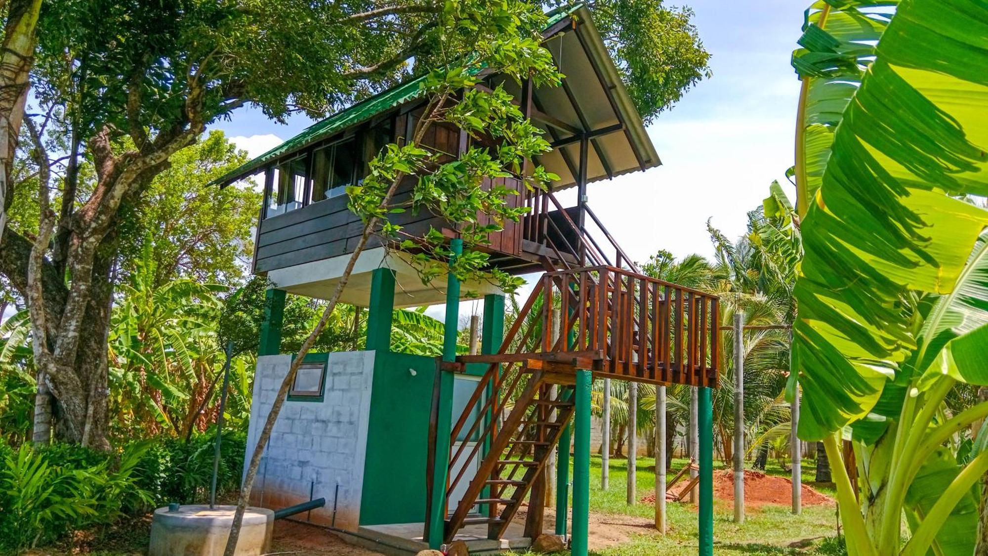 Pride Rock & Tree House 2*