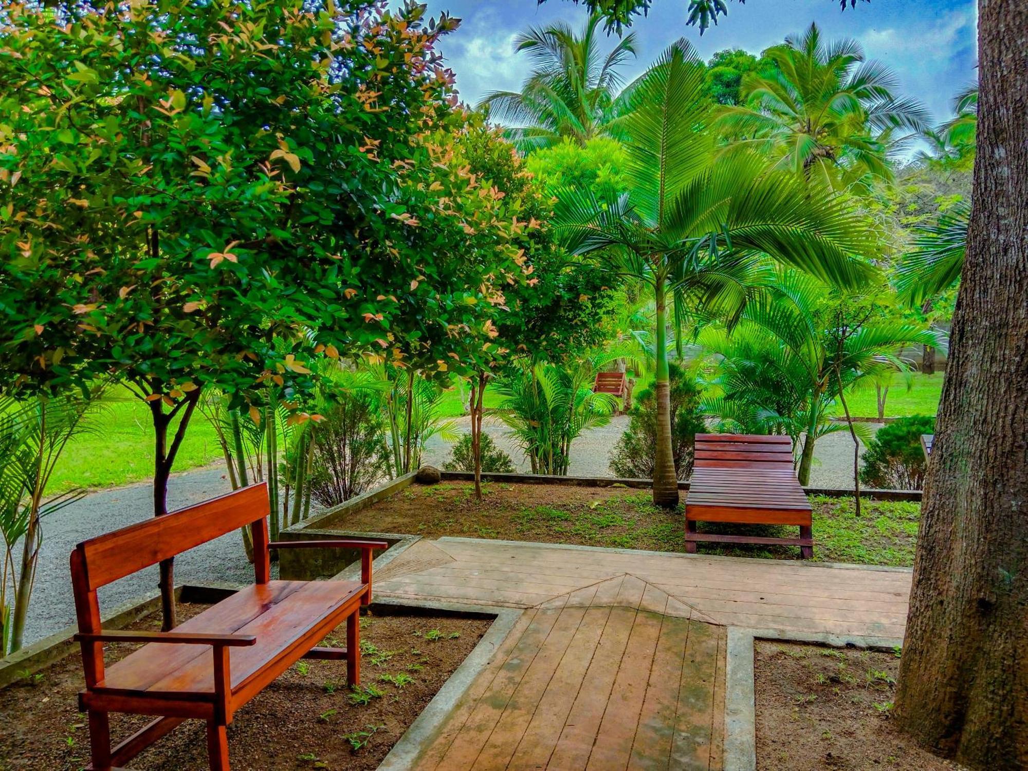Hotel Pride Rock & Tree House