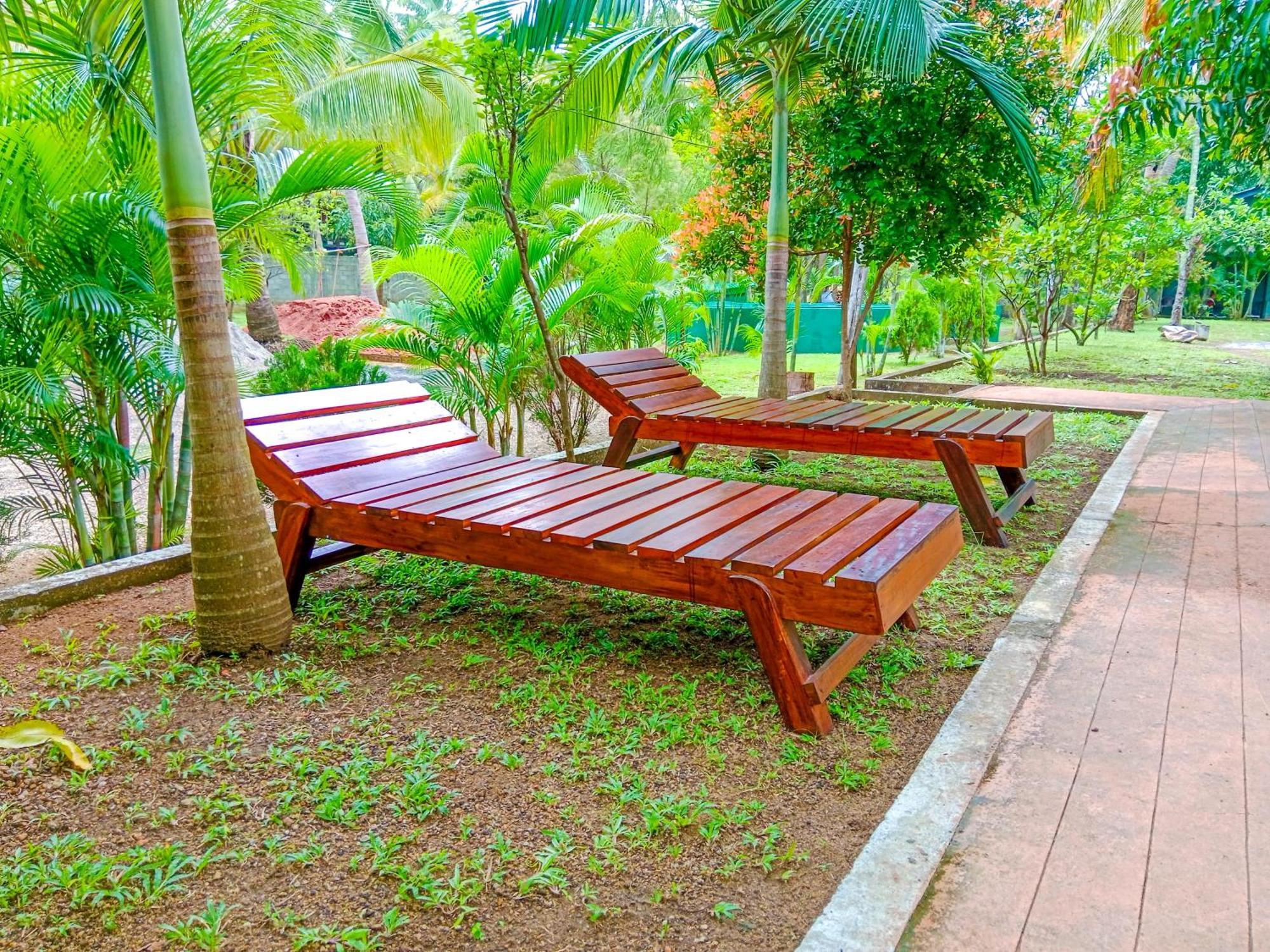 Pride Rock & Tree House Hotel Sigiriya