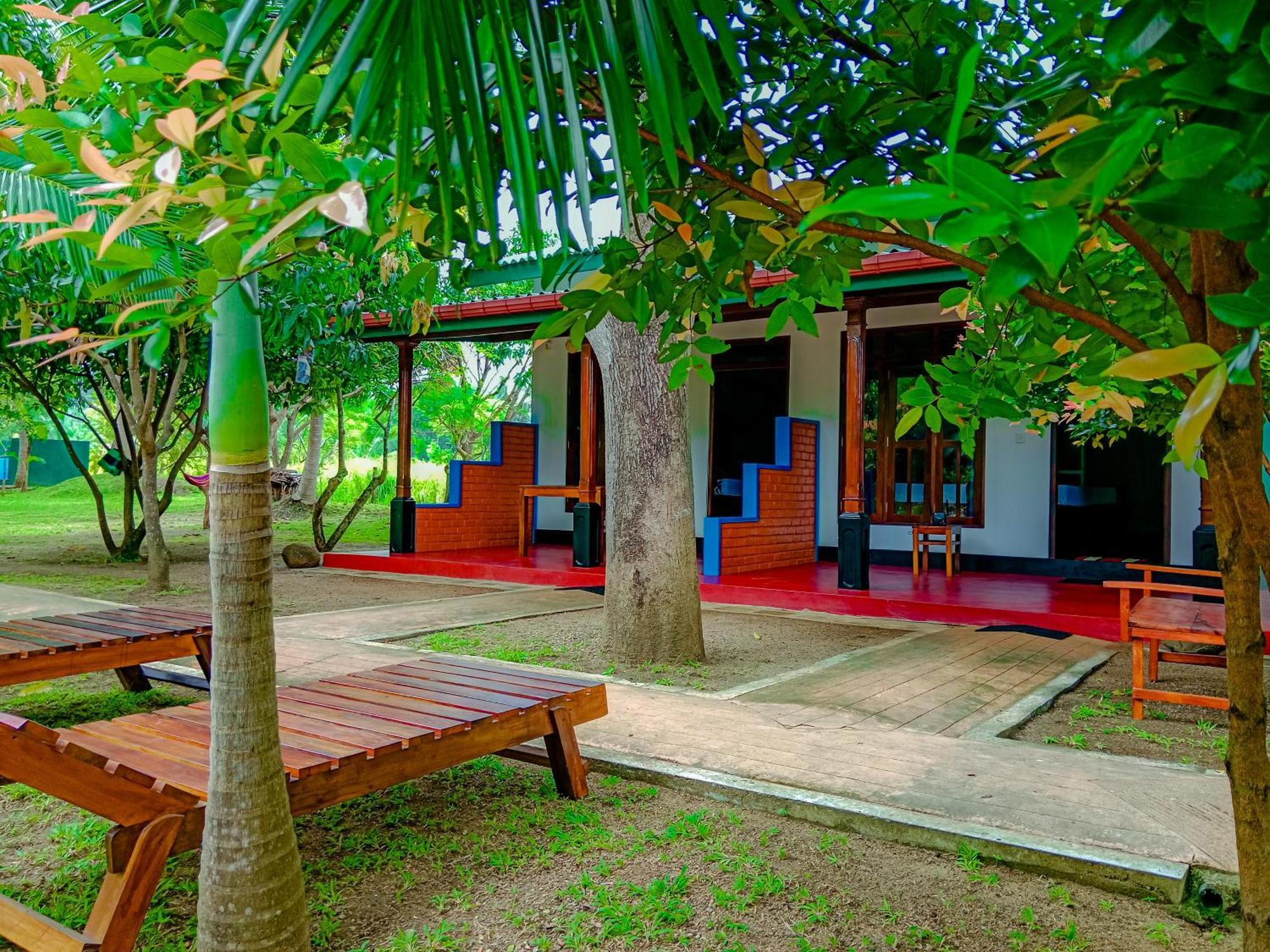 Pride Rock & Tree House Hotel