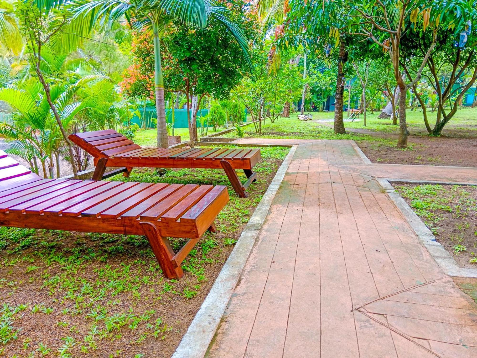 Hotel Pride Rock & Tree House Sigiriya