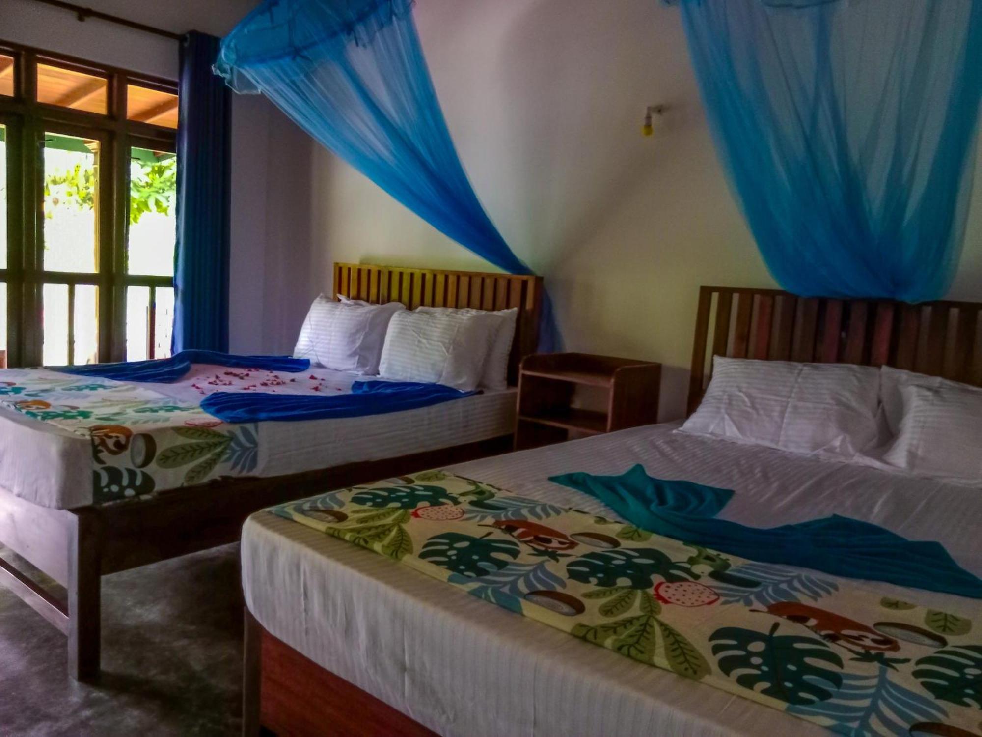 Pride Rock & Tree House Hotel